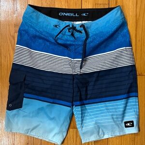 O'Neill Men's Striped Blue Board Shorts